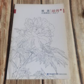 唯美白描精选 牡丹一