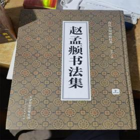 赵孟頫书法集上下全2册 历代大师碑帖经典 天津人民美术