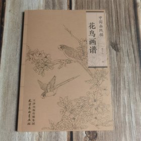 中国画线描  花鸟画谱
