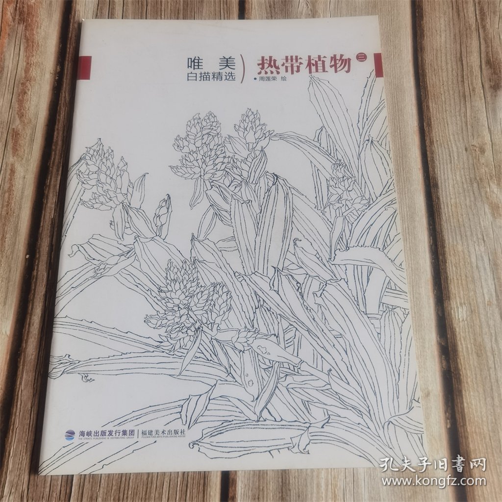 唯美白描精选 热带植物三