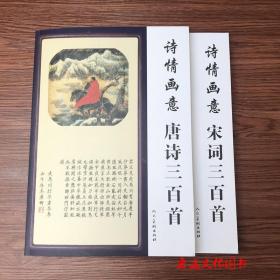 诗情画意唐诗三百首 宋词三百首2册唐诗宋词书法毛笔字帖临摹赏析