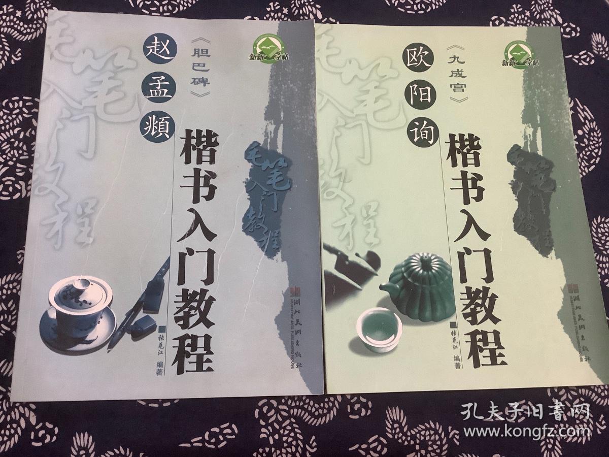 新新字帖 毛笔入门教程：赵孟頫楷书入门教程（胆巴碑）、欧阳询楷书入门教程（九成宫）【2本合售】