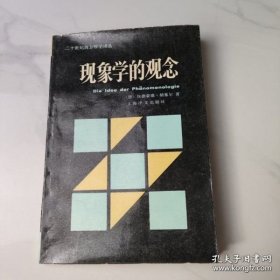 现象学的观念