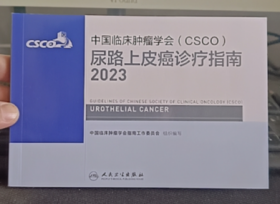 中国临床肿瘤学会（CSCO）尿路上皮癌诊疗指南2023