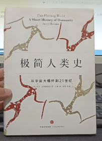极简人类史：从宇宙大爆炸到21世纪
