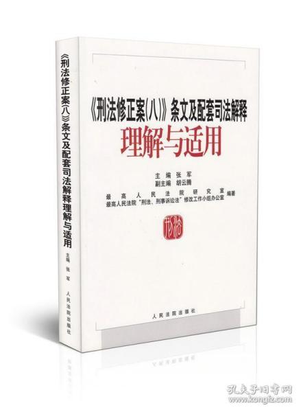 《刑法修正案（八）》条文及配套司法解释理解与适用