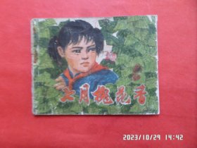 连环画：七月槐花香