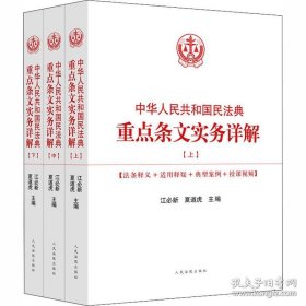 中华人民共和国民法典重点条文实务详解(上中下)3册