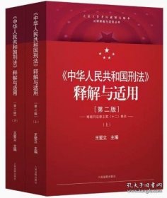 2024《中华人民共和国刑法》释解与适用第二版