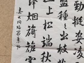 秦咢生四子，广东省书法家协会会员秦大同书法，35cm*56cm