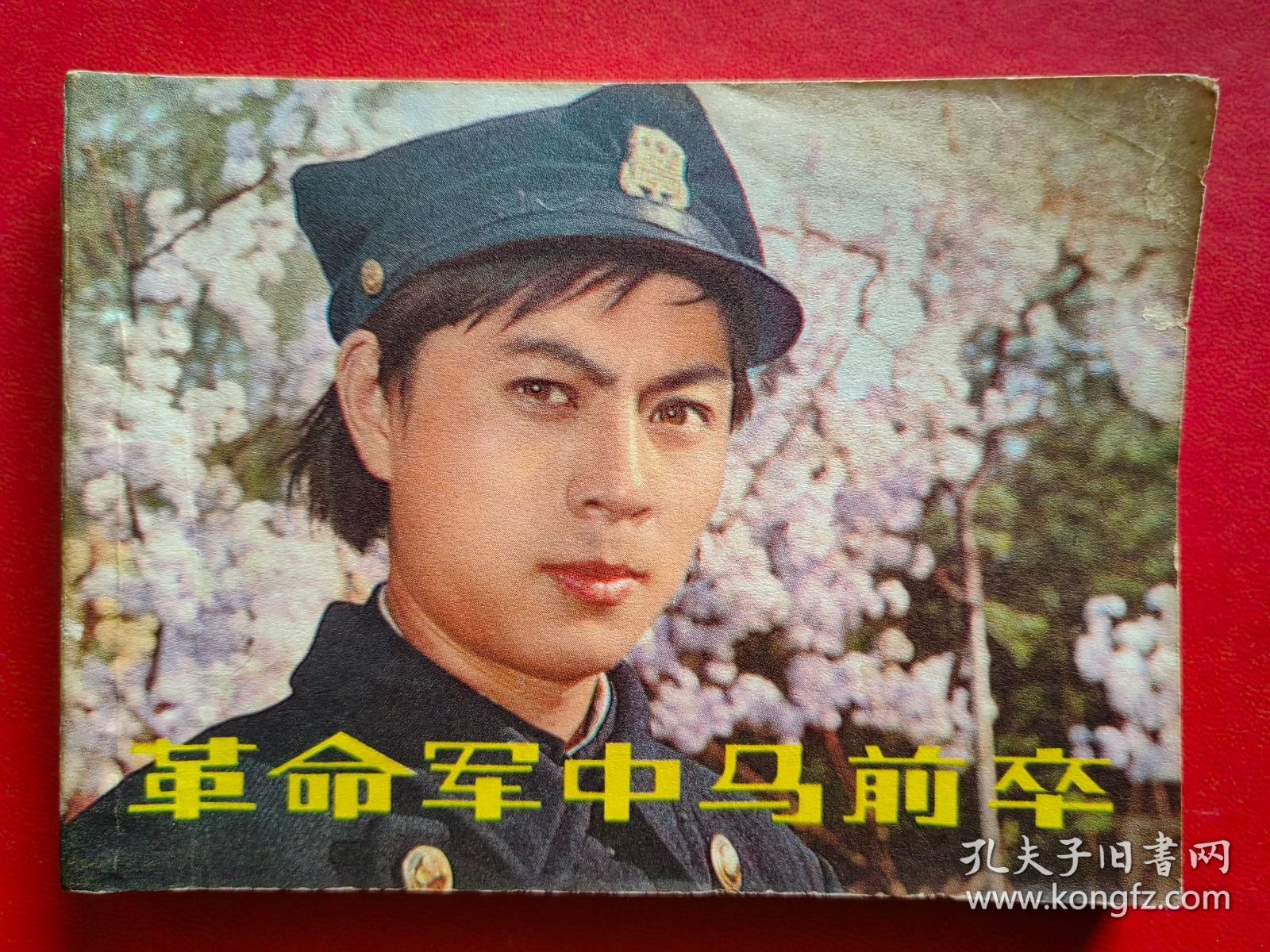 革命军中马前卒