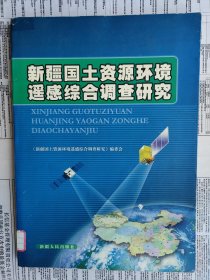 新疆国土资源环境遥感综合调查研究（不带光盘）