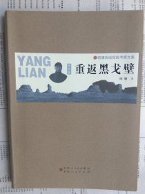 正版现货 杨镰西域探险考察文集：重返黑戈壁（第4集）