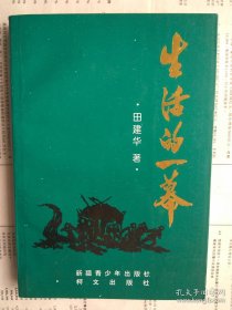 【已拍目录图片,请下滑查看】生活的一幕（田建华小说集）