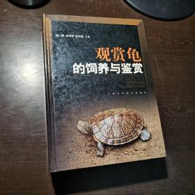 观赏龟的饲养与鉴赏