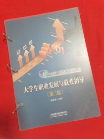 大学生职业发展与就业指导(第二版)