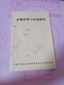 養(yǎng)鵝管理與疾病防控