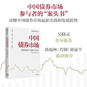 正版书 中国债券市场