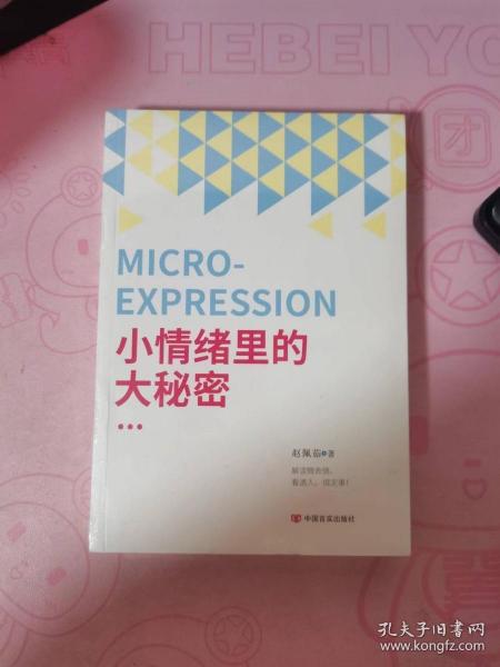 小情绪里的大秘密（看透人心  掌握主动  抓住机会）