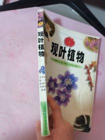 观叶植物（彩图版）