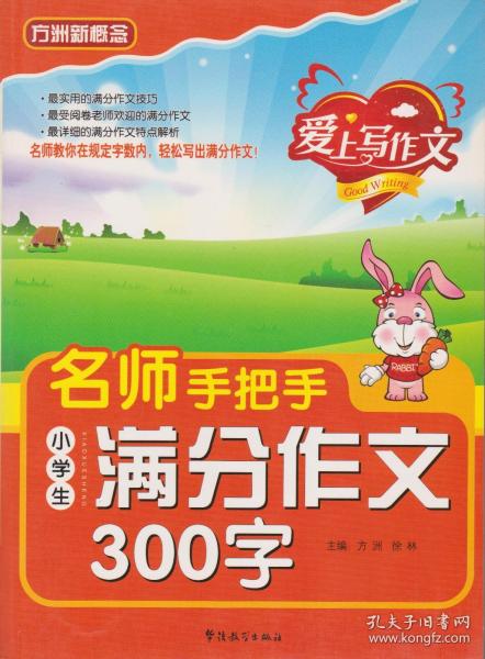 名师手把手小学生满分作文300字