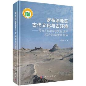 罗布泊地区古代文化与古环境——罗布泊自然与文化遗产综合科学考察报告