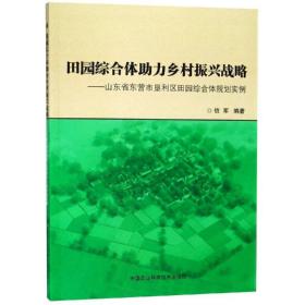 田园综合体助力乡村振兴战略:山东省东营市垦利区田园综合体规划实例 