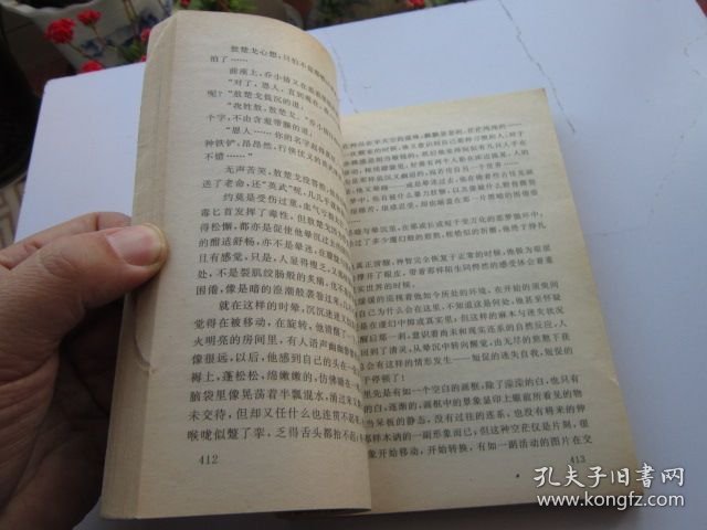 武侠 铁血侠情传 中册