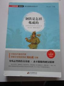 钢铁是怎样炼成的  16开本