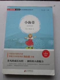 小海蒂 16开本