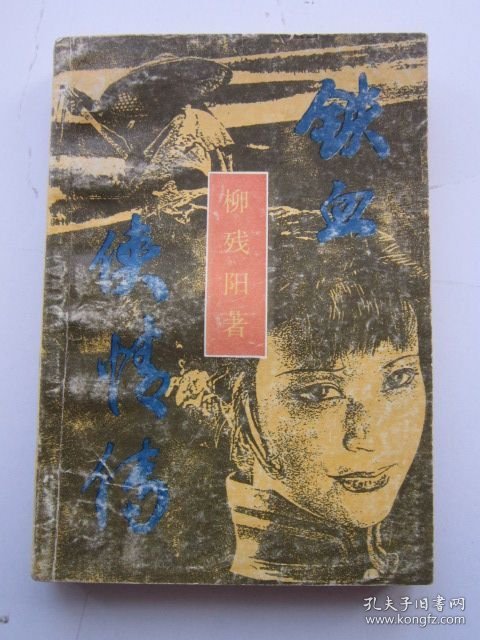 武侠 铁血侠情传 中册