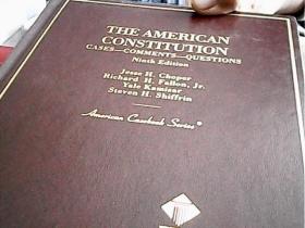 the american consttution