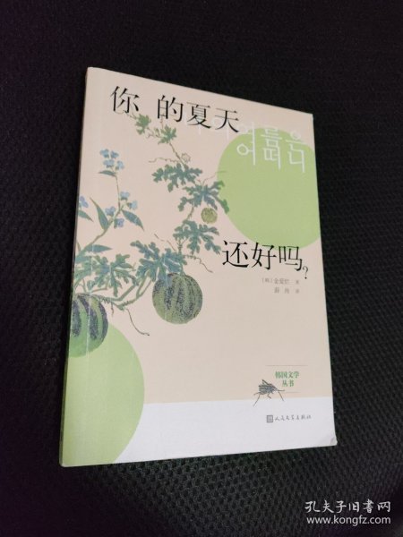 韩国文学丛书：你的夏天还好吗？
