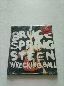 BRUCE SPRING STEEN 光盘