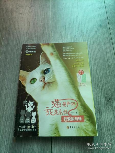 猫是严师，我是高徒