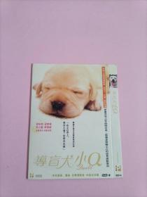导盲犬 DVD