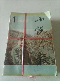 小说月报 1985 全年