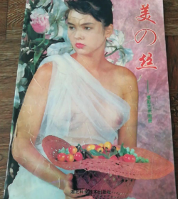 美丝摄影艺术画册