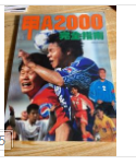 甲A2000完全指南