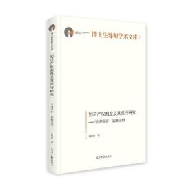 知识产权制度及其运行研究