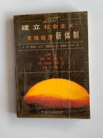 建立社会主义市场经济新体制