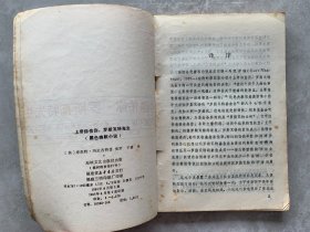 上帝保佑你,罗斯瓦特先生