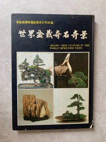 世界盆栽奇石奇景