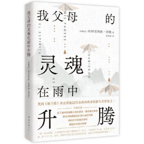 我父母的灵魂在雨中升腾（拉美文学新声音，博尔赫斯的接班人，找回直面恐惧的勇气）