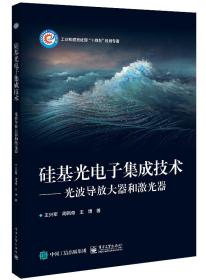 硅基光电子集成技术——光波导放大器和激光器