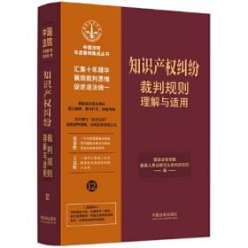 知识产权纠纷裁判规则理解与适用