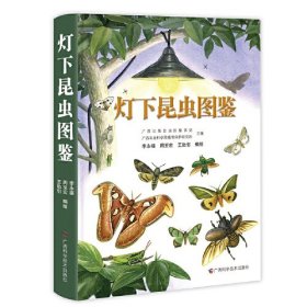 《灯下昆虫图鉴》（一支毛笔，一盒水彩，在科技绘图师手中，幻化出一个让人惊艳的昆虫世界）