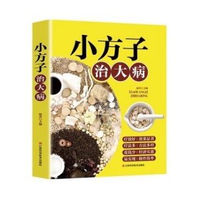 小方子治大病   中医书籍养生偏方大全民间老偏方美容养颜常见病防治 保健食疗偏方秘方大全小偏方老偏方中医健康养生保健疗法