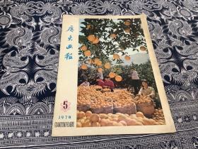 广东画报（1978年第5期）