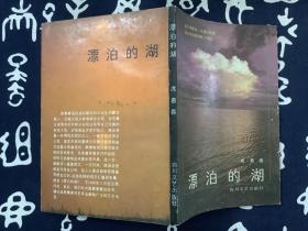 漂泊的湖【1989一版一印】四川文艺出版社